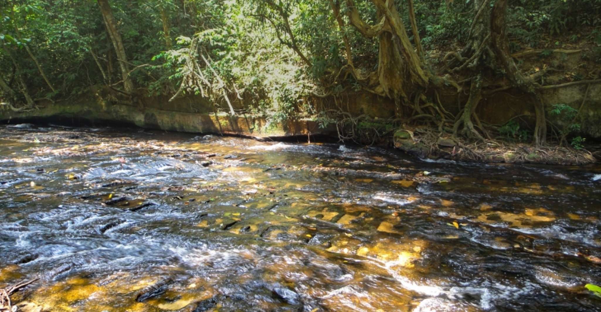 Phnom Kulen National Park, 6 ore di tour di una giornata intera - Hizvo
