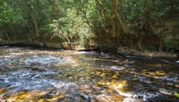 Phnom Kulen Nationalpark, 6 Stunden Tagestour - Hizvo