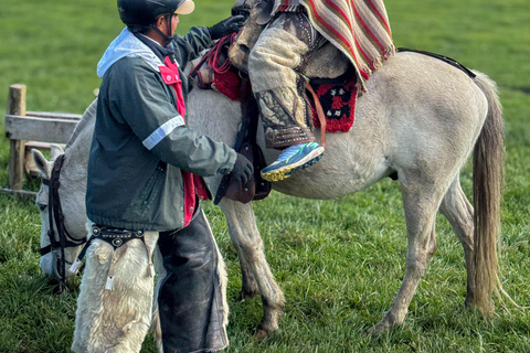Quito: 2-Day All-Inclusive Cotopaxi Adventure
