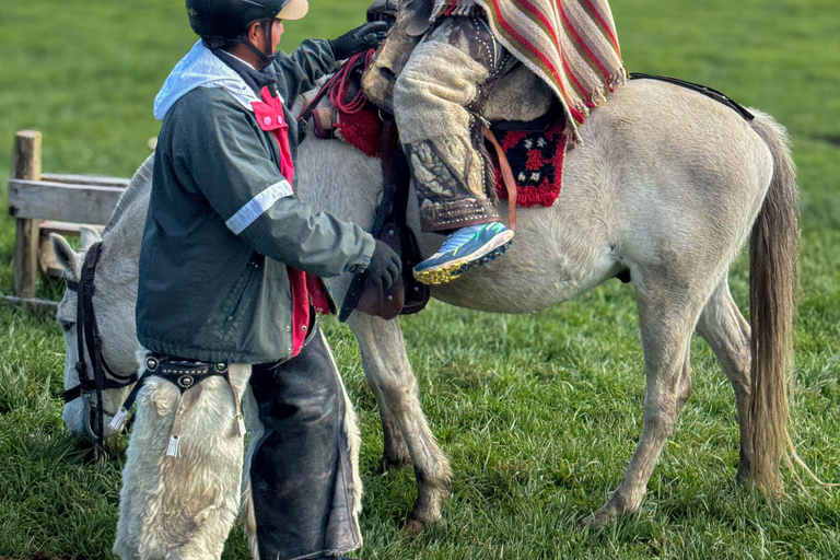 Quito: 2-Day All-Inclusive Cotopaxi Adventure