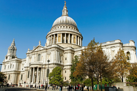 London: Private City Highlights Tour 6 Hour