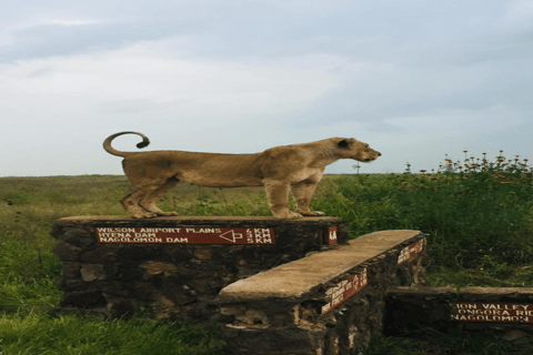 Tour di un giorno del Parco Nazionale di Nairobi e del Centro delle Giraffe