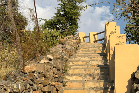 From Muscat: Nizwa & Jabal Akhdar with Multilingual Guide