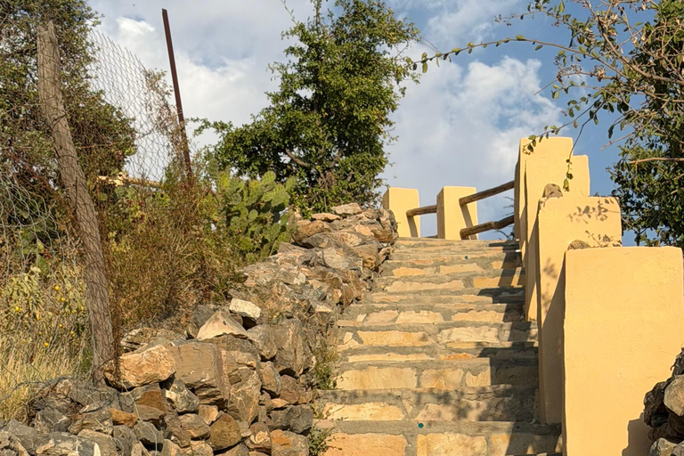 From Muscat: Nizwa & Jabal Akhdar with Multilingual Guide
