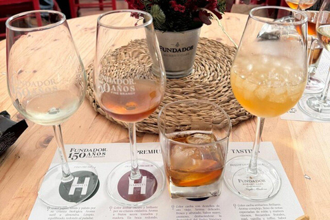 From Marbella: Cadiz and Jerez Private Daytrip