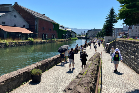 Otaru & Sapporo: Full-Day Tour with Train Ride