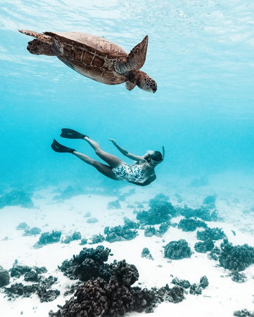 Moorea : excursion privée de snorkeling dans le lagon avec photos GoPro