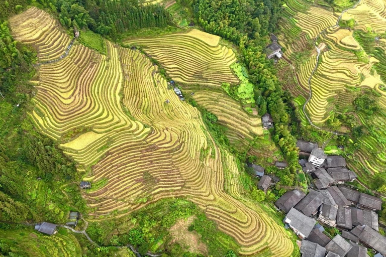 Guilin: Longji Rice Terraces Shared Group Day Trip