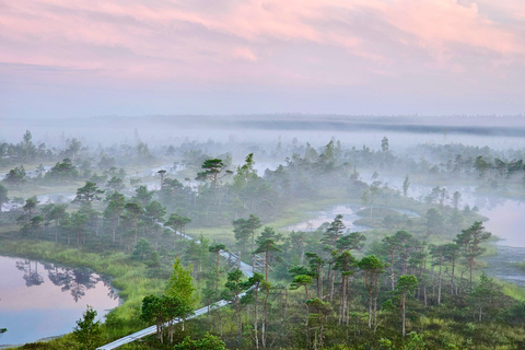 Ķemeri Great Bog With Optional Sunrise & Jūrmala Visit Ķemeri Bog Shared Small Group Tour