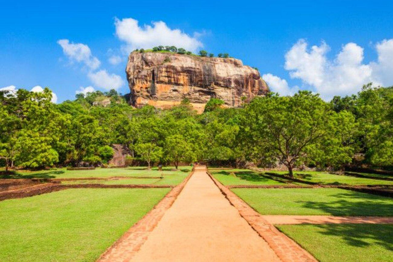 Kandy: Sigiriya Private Day Tour By Private Car or Mini Van