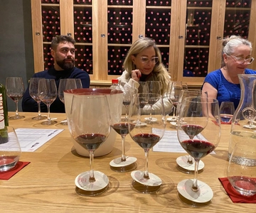 Wein Tour Viña Vik und Ganzheitliche Erfahrung