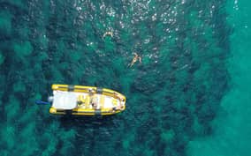  - Canarie.it