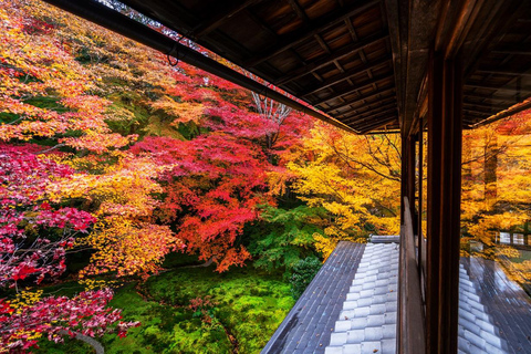 Osaka: Lake Biwa, Moonlit Temple and Omi Highlights Day Trip