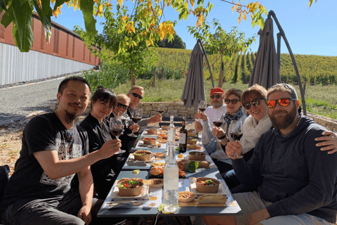 Saint-Emilion Electrical bike tour with gourmet picnic lunch