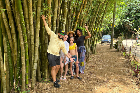 Cuevas del Indios Tour at Arecibo