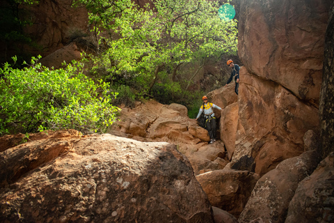 Moab: Barranquismo de Medio Día en la Gruta de la Efedra