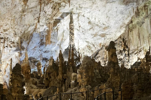 De Liubliana a la Cueva de Postojna, el Castillo de Predjama y el parque de Postojna