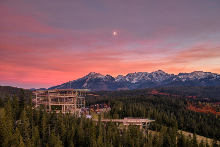 Zakopane Snowmobile, Quad or Buggy Ride & Treetop Skywalk Snowmobile, Quad or Buggy Ride & Skywalk (No Rental)