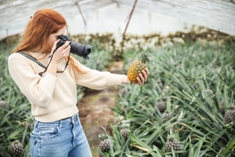 Pineapple greenhouse hot tube and pineapple tour Relax in pineapple greenhouse hot tube and do pineapple tour