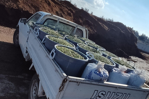 Paphos: Dagtrip Troodosgebergte en dorpen