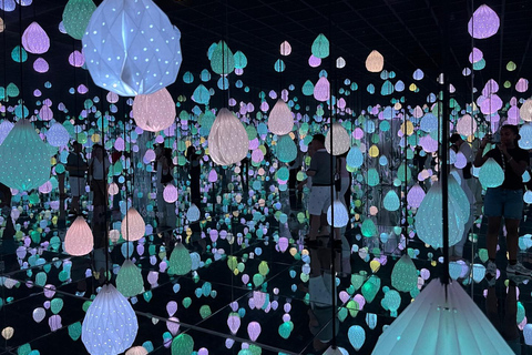 Seoul: Gangneung from K-Pop Band Bus Stop to Anmok Beach Option 1, meet at Dongdaemun