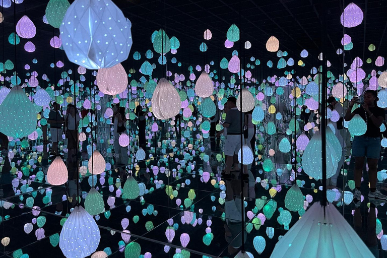 Seoul: Gangneung from K-Pop Band Bus Stop to Anmok Beach Option 1, meet at Dongdaemun