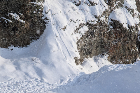 Tbilisi: Kojori Fortress Half-Day Tour