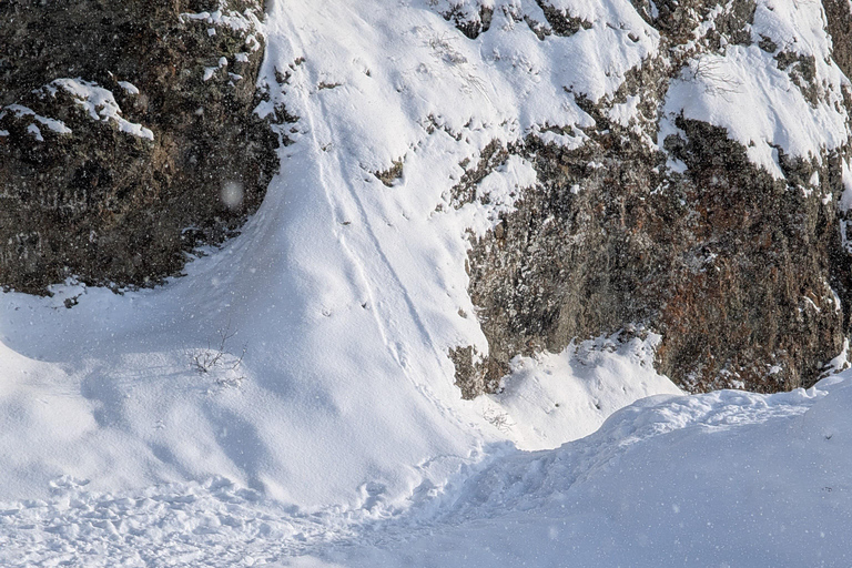 Tbilisi: Kojori Fortress Half-Day Tour