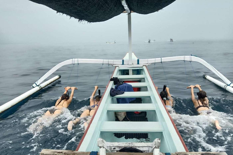 Bali: Amanecer Observando Delfines, Excursión de Natación y SnorkelTour en barco privado con punto de encuentro