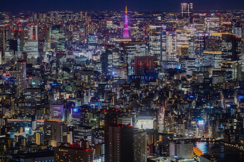 Tokyo: City One Day Private Tour of Must-See Places