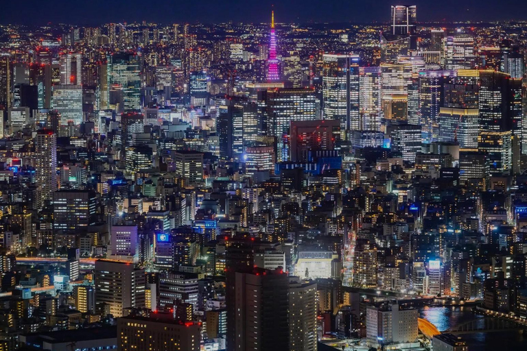 Tokyo: City One Day Private Tour of Must-See Places