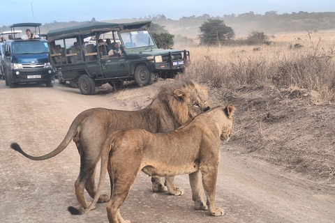 Passeio de carro pelo Parque Nacional de Nairóbi pela manhã ou à noitePasseio matinal pelo Parque Nacional de Nairóbi com serviço de busca gratuito