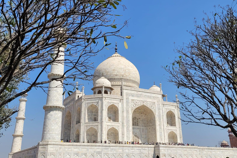 From Delhi: Agra Day Trip with Taj Mahal and Agra FortAC Car and Tour Guide Service Only