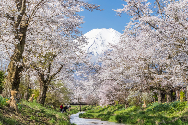 Tokyo: Mt. Fuji & Lake Kawaguchi Small Group Tour - 6 Spots Hotel Pickup Option