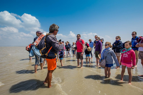Mont Saint-Michel : Walk with an English-speaking guide