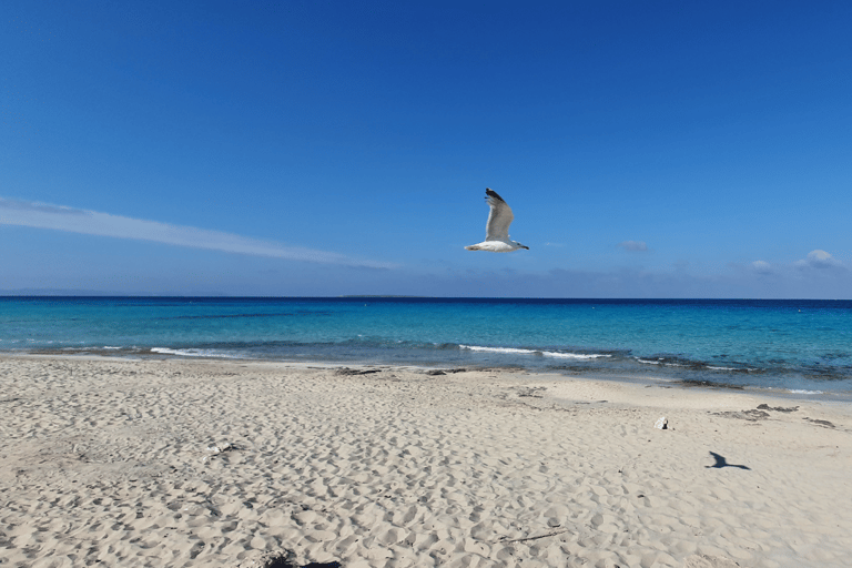 Ibiza: Ferry Journey to/from Formentera by Electric Ferry 1-way Ferry Ticket from Formentera to Ibiza