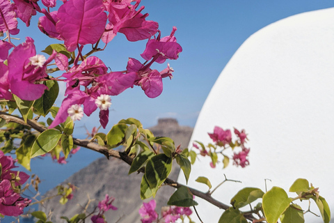 Santorini: Private 5-Hour Island Highlights Tour