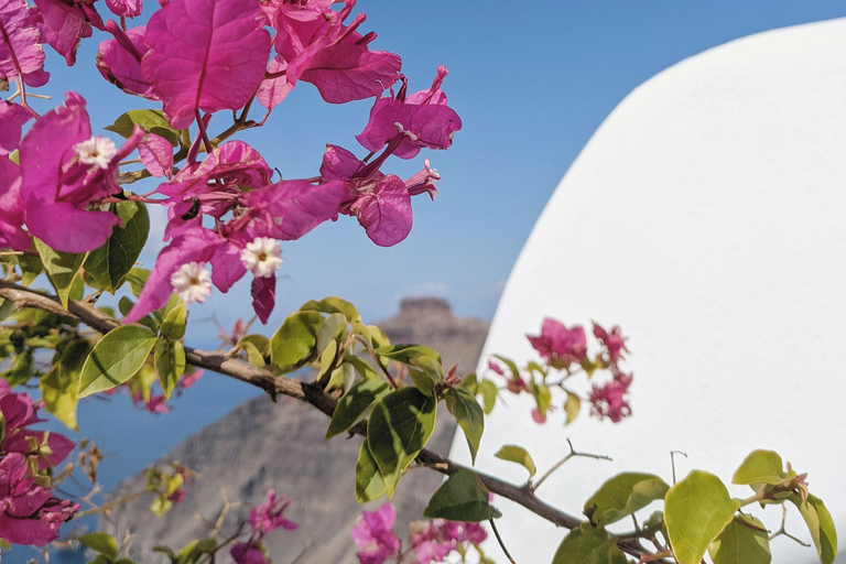 Santorini: Private 5-Hour Island Highlights Tour