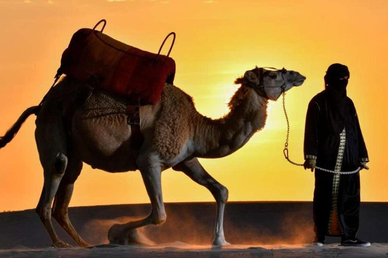 Pérou : Balade à dos de chameau et dégustation de vin