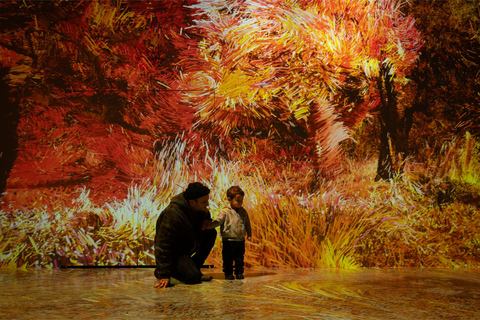 NYC: ARTECHOUSE Immersive Art Experience Entrance Ticket
