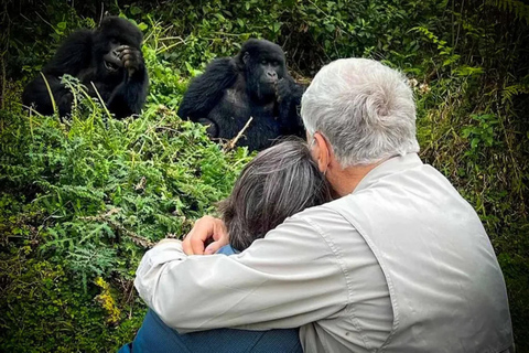 Rwanda 2-day Gorilla Trekking & Dian Fossey Tomb Visit