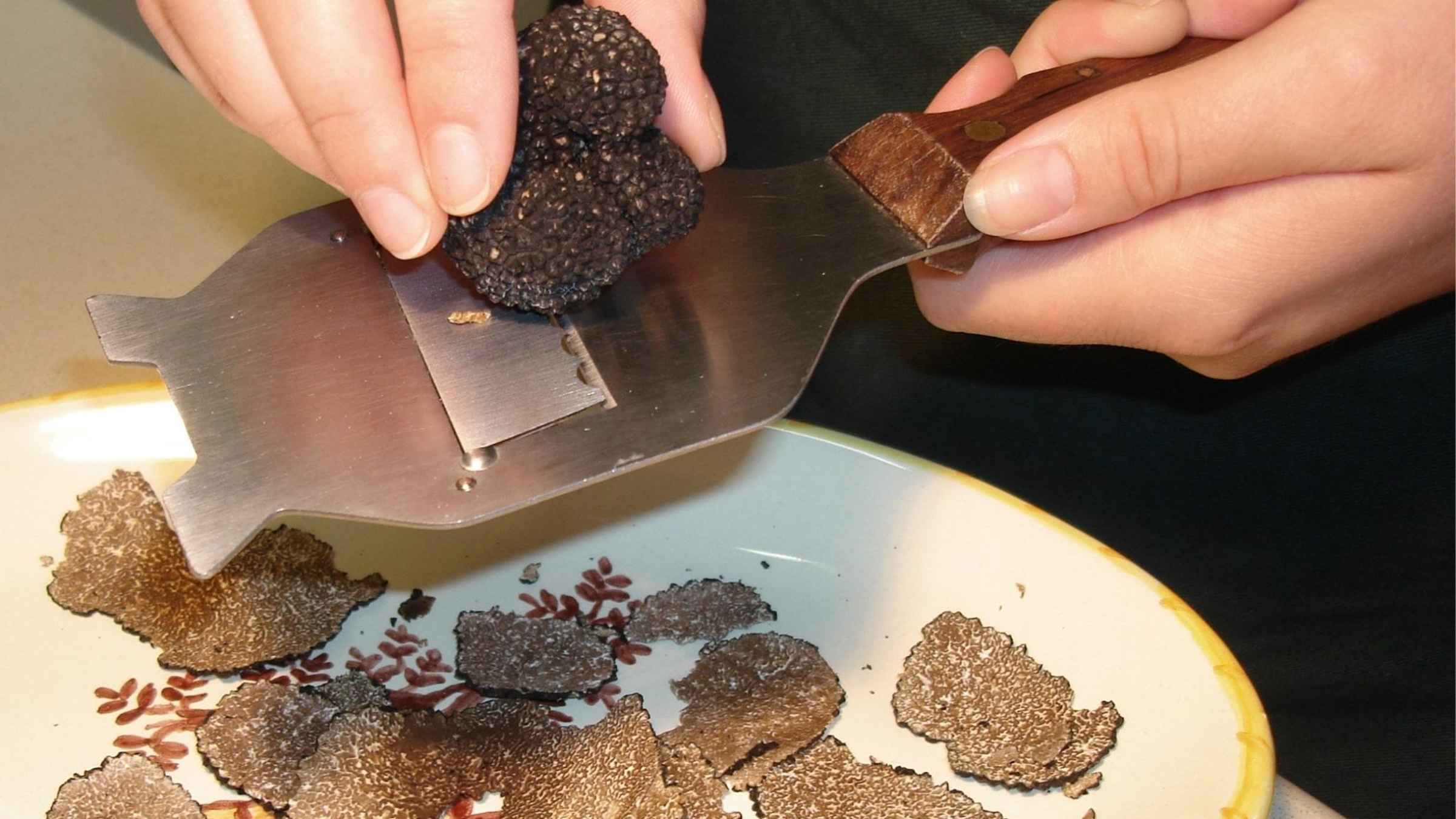 Degustação de trufas e visita ao museu na Úmbria, perto de Perugia1,
