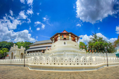 Tour di Kandy e Nuwara Eliya di 1 giorno