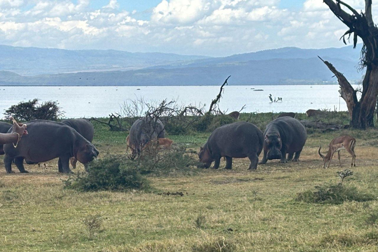 Nairobi: Crescent Island Sanctuary Day Trip with Lunch Nairobi: Crescent Island Sanctuary private day Trip