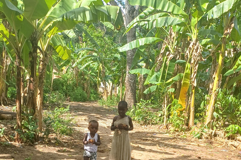 UZI ISLAND MANGROVE CONSAVATION WITH KAYAK TOUR PRIVATE TOUR WITH TRANSFER INCLUDED