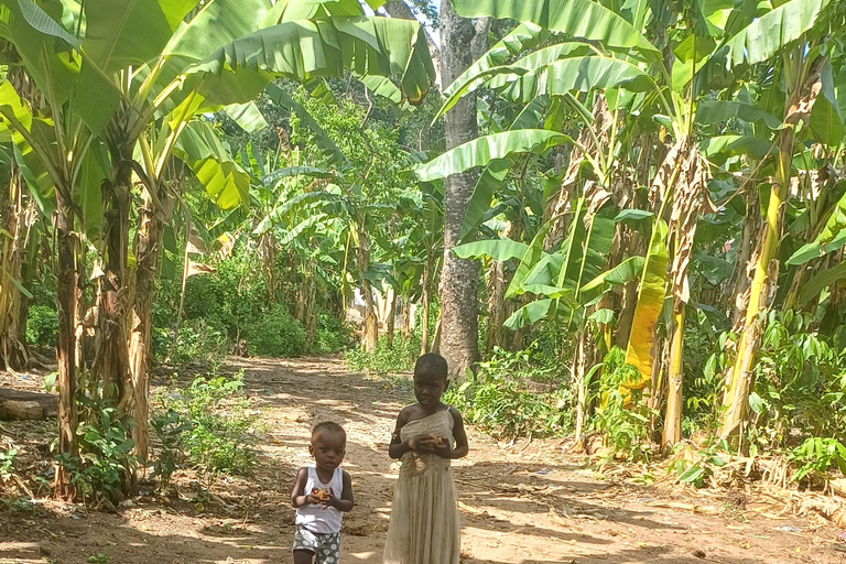 UZI ISLAND MANGROVE CONSAVATION WITH KAYAK TOUR PRIVATE TOUR WITH TRANSFER INCLUDED