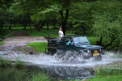 Da Jaipur: Safari nel Parco Nazionale di Ranthambore con trasferimenti