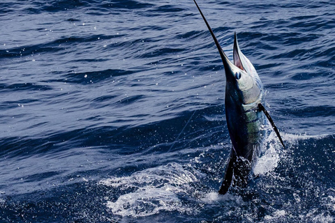Santa Maria: Atlantic Ocean Trolling Fishing Trip