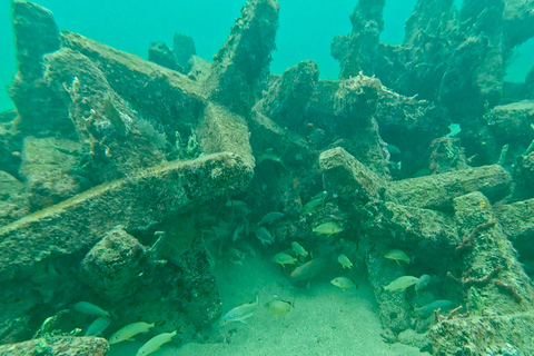 Ft Lauderdale: Combo Deal Snorkel Reefs, Kayak/SUP Mangroves