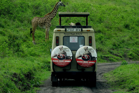 From Zanzibar:Mikumi Safari Day Trip with Flights and Lunch